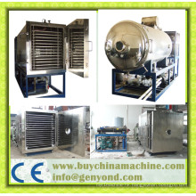 Vacuum Freeze Dryer for Food Industry